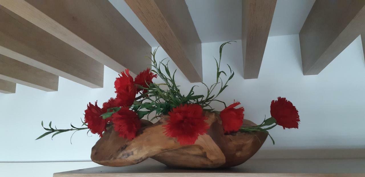 Vila Mojca Apartments Jasna & Jelka Kranjska Gora Dış mekan fotoğraf